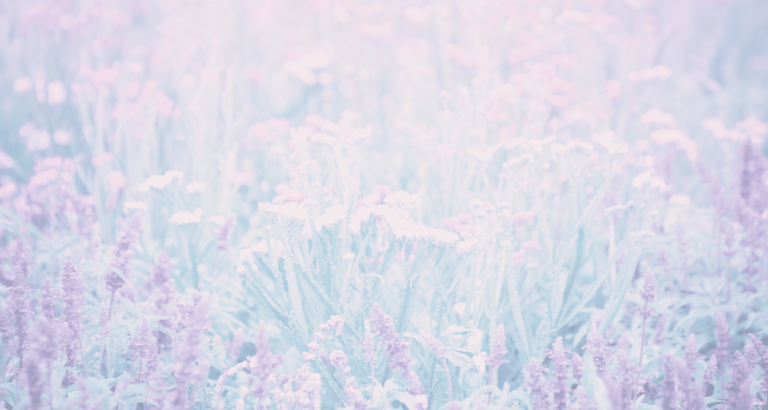 お花の背景画像